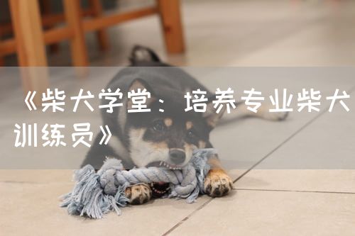 《柴犬学堂：培养专业柴犬训练员》