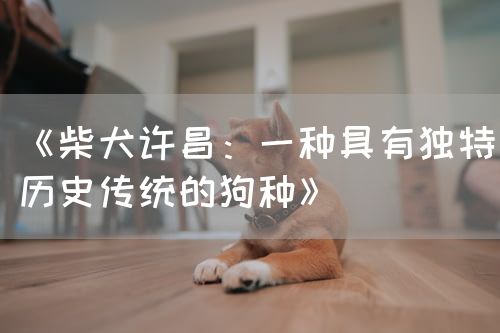 《柴犬许昌：一种具有独特历史传统的狗种》