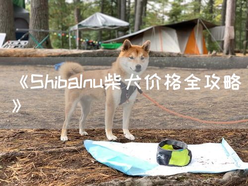 《ShibaInu柴犬价格全攻略》