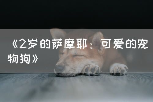 <strong>《2岁的萨摩耶：可爱的宠物狗》</strong>